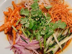 -邢氏老太太烤串(北兴街店)