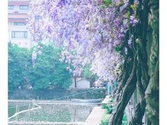 -浙江大学(紫金港校区)