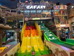 -卡通尼·Safari非洲探索乐园·生日会(金桥国际商业广场店)