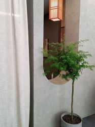 -姜美堂·蒸姜除湿の纤体美颜馆