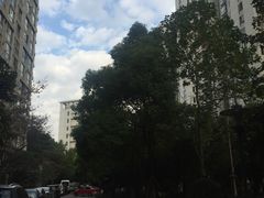 -新湖明珠城