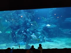 -暹罗海洋世界