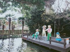 -济州岛泰迪熊博物馆