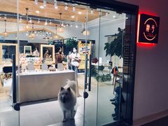 -肆兮眼镜·蔡司·徕卡战略合作店(大坪店)