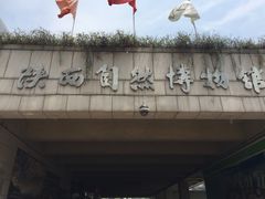 -陕西自然博物馆