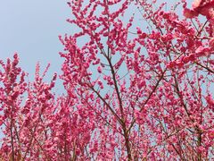 -长广溪湿地公园