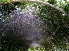 -同里国家湿地公园