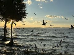 -捞渔河湿地公园