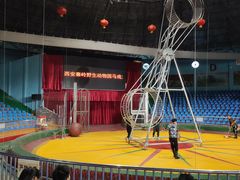 -西安秦岭野生动物园