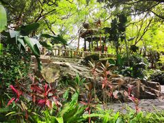 -乌山风景区