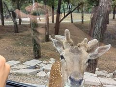 -秦皇岛野生动物园
