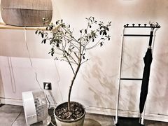 -Onirii Coffee(长乐路店)