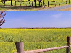 -汉长安城未央宫国家考古遗址公园