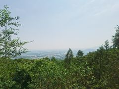 -阳台山自然风景区