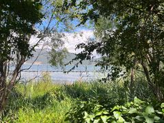 -才村湿地公园