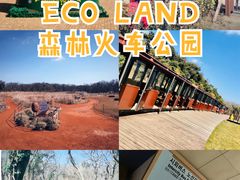 -济州森林小火车生态公园