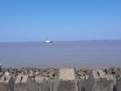 -上海滨江森林公园
