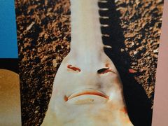 -上海海洋水族馆