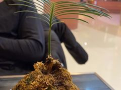 -THE WOODS 简餐 (国贸商城店)