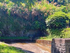-鼓岭旅游度假区