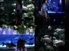 -成都浩海立方海洋公园