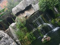 -昆明动物园