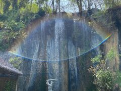 -西双版纳原始森林公园