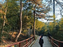 -红螺寺