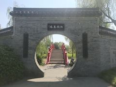 -盆景园(扬州大运河文化旅游度假区)