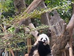 -无锡动物园·太湖欢乐园