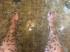 -中家鑫园温泉酒店鑫悦汤泉