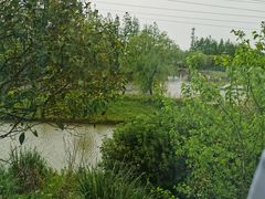 -上海长兴岛郊野公园