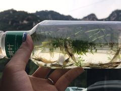 -碓臼峪自然风景区