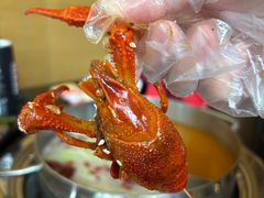 -西安浐灞艾美酒店·汉江餐厅·火锅