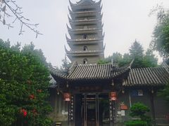 -生宇山珍野生菌汤锅•始于1999(双流古塔店)