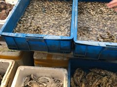 -众彩物流水产市场