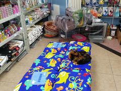 -北京博爱动物医院有限公司