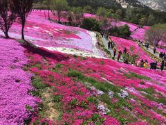-昆嵛山石门里景区