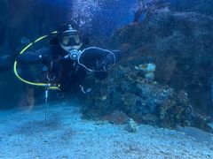 -太平洋海底世界