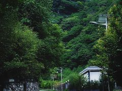-朱雀国家森林公园