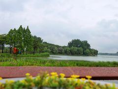 -渤公岛生态公园