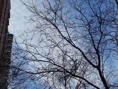 -魏家凉皮(协和店)