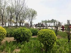 -东疆建设开发纪念公园