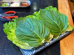 -韩烧牛中牛·甄选黑牛烤肉(黑金店)