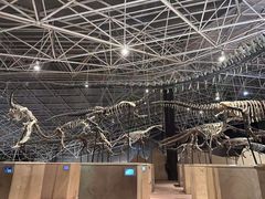 -世界恐龙谷景区