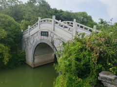 -八大山人梅湖景区