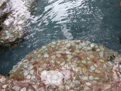 -汇雅温泉