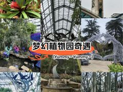 -南山植物园