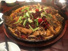 -老板恋上鱼(高新万达店)