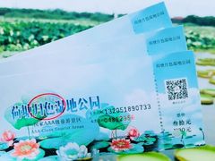 -荷塘月色湿地公园·向阳花洲